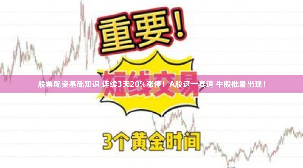 股票配资基础知识 连续3天20%涨停！A股这一赛道 牛股批量出现！