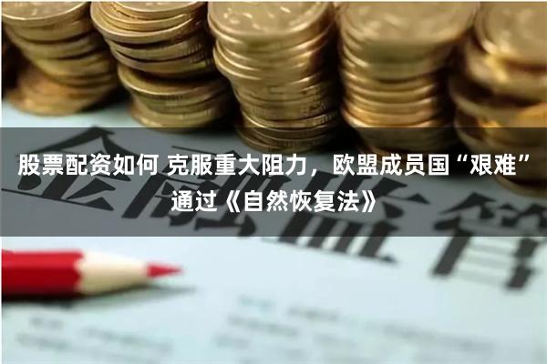 股票配资如何 克服重大阻力，欧盟成员国“艰难”通过《自然恢复法》
