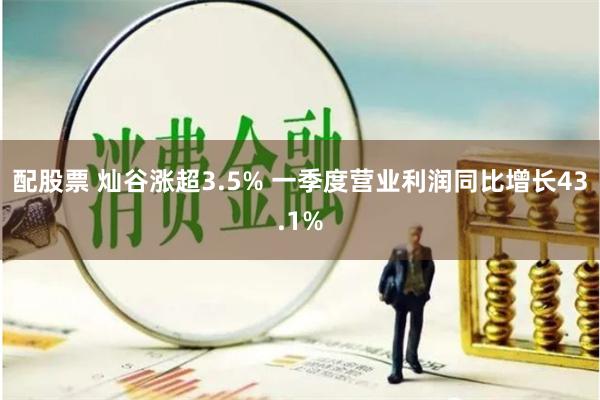 配股票 灿谷涨超3.5% 一季度营业利润同比增长43.1%